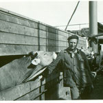Hans Sonderegger, Viehhändler, im Arbeitstenu mit einem seiner "Buba".
