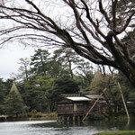 寒々しい池の景