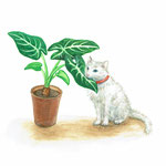 五章の扉絵。身近な毒草