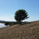 Göhren am Südstrand