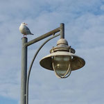 auf der Seebrücke