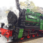 "Rasender Roland", Dampfeisenbahn