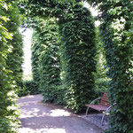 Labyrinth im Kurpark