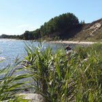 am Südstrand in Göhren