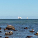 Segelschiffe vor Göhrens Südstrand