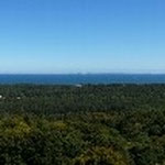 Panoramablick vom Baumwipfelpfad