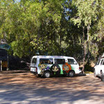 viele Australier mögen die Backpacker in den auffälligen Wickedcamper nicht so sehr, sie parken z.B. nicht nur quer auf zwei Parkplätzen...