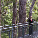 Die Brücken im Tree-Top-Walk sind ziemlich wacklig