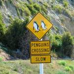 Vorsicht: Pinguine!