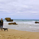 In Aireys Inlet ist uns ein Hund zugelaufen