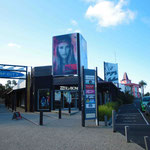in denen es von Surfshops nur so wimmelt