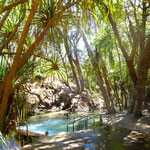 und in der letzten Stadt vor dem Kakadu NP kann man in heißen Quellen baden