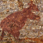 und ein Kangaroo
