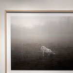 Piano terra: Pierluigi Fresia, "Mahabharata", 2017, stampa fotografica su carta cotone Fine Art, ph. LATO