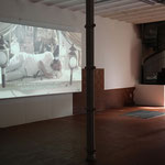 Primo piano: Javier Penafiel, "Perfezionando la morte", 2017, video, ph. Claudio Tornieri