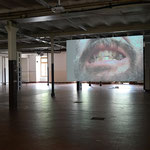 Piano terra: Carlo Dell'Acqua, "Ricco", 2017, video, ph. Claudio Tornieri