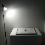 Secondo piano: Armida Gandini, "Alice in the mirror’s garden", 2001, box in legno con stampa digitale su carta e vetro, ph. Armida Gandini
