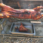 Grillen bei SOG Sports & outdoor Guide