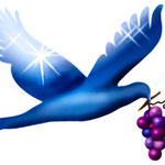 blue bird