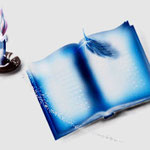 Novel