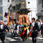 牛嶋神社大祭 神幸祭<br>広大な氏子エリアを2日にわたって巡行される鳳輦