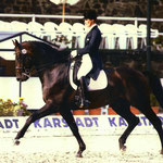 Alvarado