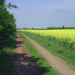 Natur pur