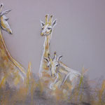 61 - Conversation entre girafes - pastels 2015 - VENDU - encadré dimensions 61x81