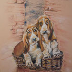 145 - les deux inséparables - pastels mars 2019 - non encadré - dimensions 50x65