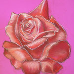 59 - La rose - pastels 2015 - non encadré