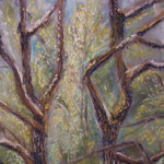 55 -sous bois - pastels 2015 - encadré