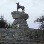 Denkmal für die Schäferhunde bei 65 Mio. Schafen am Lake Tekapo auf der Südinsel von Neuseeland