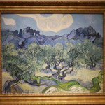 Vincent van Gogh  MOMA