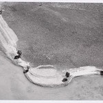 Siegfried Lauterwasser (1913 - 2000) - Seeufer (Lakeshore) 1950 - Gelatin silver print, early print - 11,6 x 21,6 cm - © Siegfried Lauterwasser