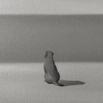 犬（20×30cm）