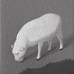 羊（10×10cm）