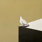 白い鳩#2,2024（30×30cm）