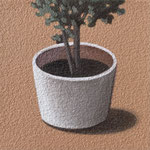 プランター（10×10cm）