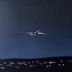ナイトフライト,2025（45×45cm）