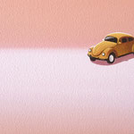 ミニカー（20×30cm）