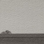 猫（10.0×30.0cm）