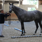 Carmen M (Clinton x Catoki) von Hannes Meindl 