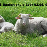 VGS Daalerschule Leer 02.05.-04.05.  Foto: Lea Overmann