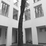 Thomas Pildner, Ausstellung im Museum Angewandte Kunst, Edition Rosskastanie