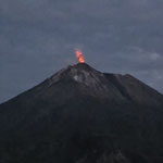 ... Lewotolo in Action