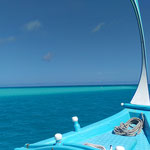 ... das sind definitiv meine Therapiefarben