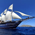 ... 7 Wochen mein zuhause 