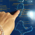 ... irgendwo in den Riffen der Malediven 