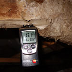 D) Holzfeuchte des Konstruktionsholzes - gemessen im Bereich des Pilzmyzels