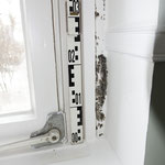 Schimmelpilzansiedlung im Leibungsbereich eines Fensters
